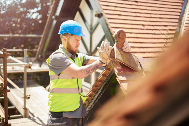 Best Commercial Roofing Services  in Gibbon, NE