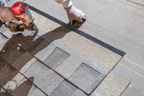 Best Local Roofing Companies  in Gibbon, NE